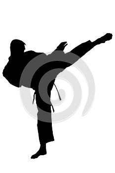 Karate training Ã¢â¬â silhouette